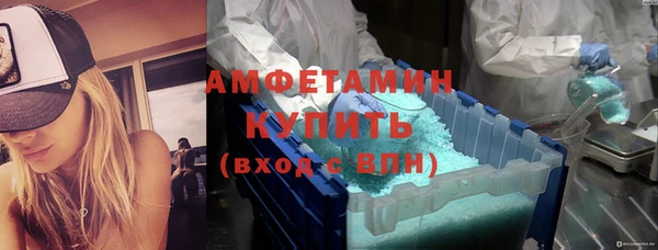 индика Горно-Алтайск