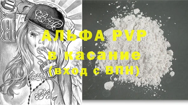 индика Горно-Алтайск