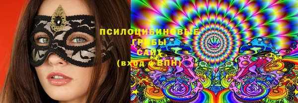 индика Горно-Алтайск