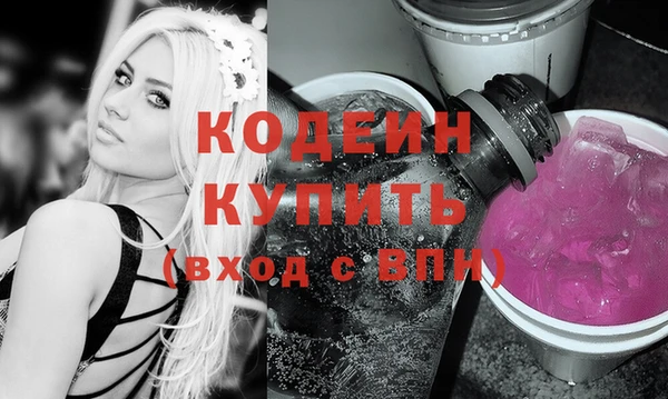 индика Горно-Алтайск