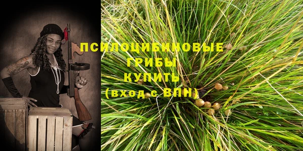a pvp Горнозаводск